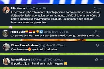 Los comentarios de los usuarios ante el video