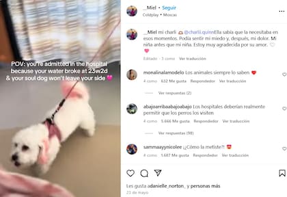 Los comentarios de los usuarios de las redes sociales