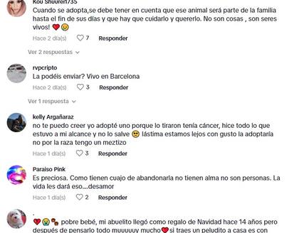 Los comentarios de los usuarios tras conocer la historia de Nanna