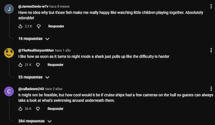 Los comentarios en el video de Odysseas Froilan evidenciaron el interés por los secretos del mar nocturno