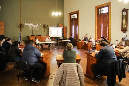 Los concejales siguieron la exposición virtual de Raquel Chan