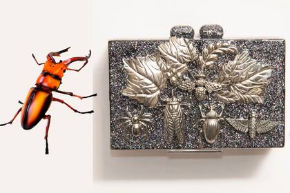 Los cortados al medio en un clutch metálico