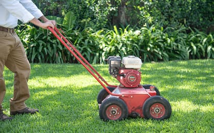 Los cortes excesivos también pueden dañar al césped durante la época estival.