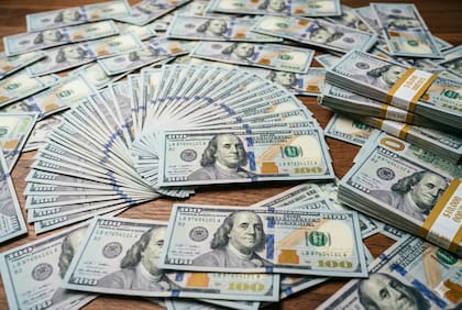 Los créditos en dólares se expandieron un 115%