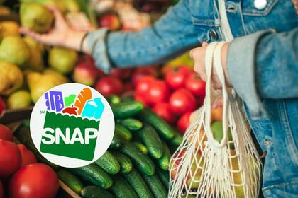 Los cronogramas de pago de los beneficios SNAP pueden ser diferentes entre los estados del país (Canva)