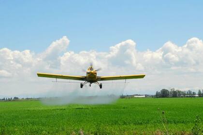 Se agiliza la importación de productos fitosanitarios ya comercializados en países de alta vigilancia —como la Unión Europea, Estados Unidos, Canadá, y ahora también Suiza, Noruega y Liechtenstein— mediante un sistema de declaración jurada y registro transitorio