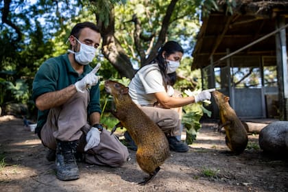 El uso de barbijo y otros elementos de protección son de uso obligatorio