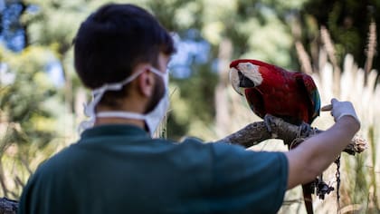 Los cuidados en el Ecoparque continúan a pesar de las medidas de aislamiento por el coronavirus