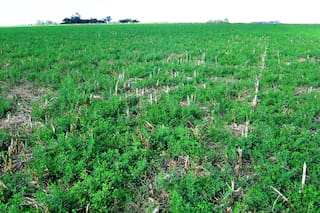 Manejos y herramientas para frenar los procesos de erosión