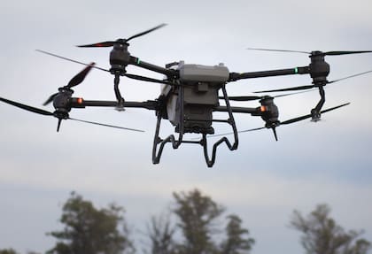 Los cultivos de servicios y los verdeos de invierno son los principales candidatos para la siembra aérea con drones