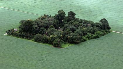 Los cultivos de soja devoran la selva amazónica, hasta el punto de reducirla en ciertos lugares a pequeños espacios como este