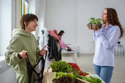 Los cupones de alimentos solo pueden ser canjeados por productos saludables (Freepik)