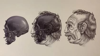 Los datos que recolectan los forenses son útiles en la reconstrucción de cadáveres sin identificar