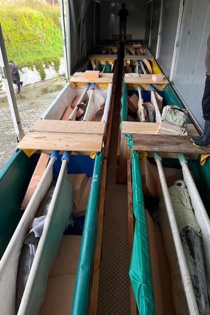 Los delfines en los cajones