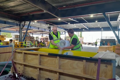 Los Delfines viajan en cajones que están llenos de agua