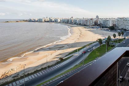 Los departamentos en Montevideo ofrecen diseño contemporáneo, comodidad y amplias vistas, respondiendo al creciente interés de inversores y residentes locales