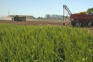 La agroindustria es la solución: por favor, piensen y entiéndanlo