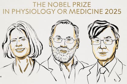 Los descubrimientos de los ganadores del Premio Nobel de Medicina 2025