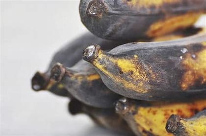 Los desechos pueden servir a los fines de la alimentación animal