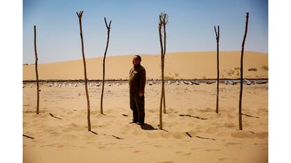 Guo Kaimin, un agricultor y administrador de un parque de esculturas de arena, se encuentra entre los árboles que plantó para ayudar a retener la arena en el desierto de Tengger