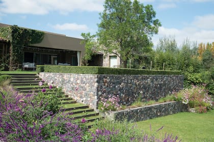 Los desniveles se contuvieron con una gran masa de Salvia leucantha, Eragrostis curvula y en primavera-verano, cosmos que se resiembran solos.