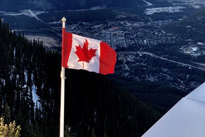 Los detalles del cargo de Oficial Comercial Senior