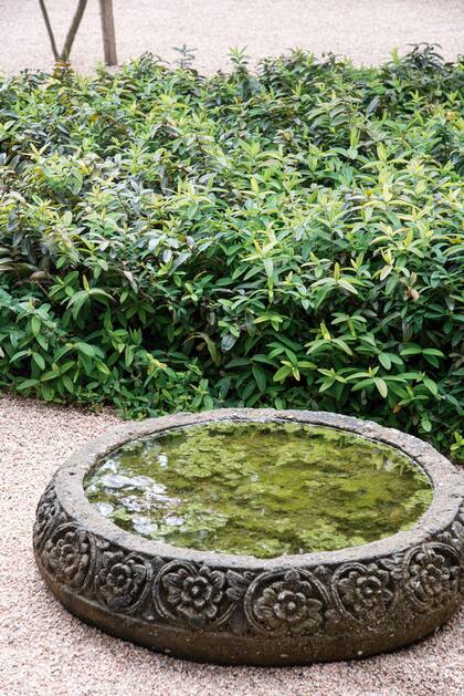 Los detalles: Mini estanque realizado con un cuenco importado de Bali, hecho de lava volcánica, lo que asegura gran durabilidad y cero mantenimiento