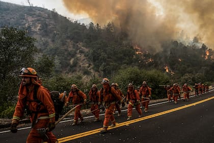 Bomberos caminan por la ruta 49, en Moccasin, California