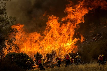 Un grupo de bomberos combate las llamas en la cercanía de la ruta 49, en Moccasin