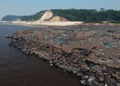 Los dientes de megalodón son fósiles comunes, ya que, según los estudios, cada uno de estos animales poseía 276. Curiosamente, la mayoría de ellos son encontrados en tierra, cerca de costas o ríos
