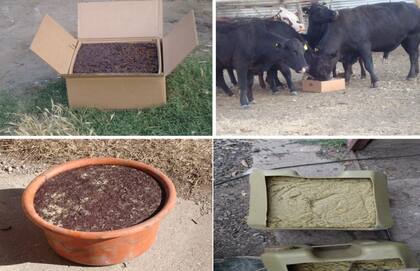 Los diferentes tipos de envases que se usan