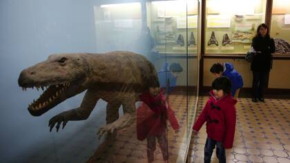 Los dinosaurios, un clásico del Museo de Ciencias Naturales