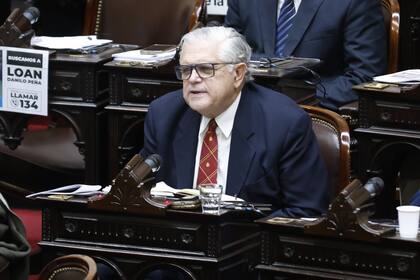 Los diputados debaten la Ley Bases, en el Congreso de la Nación