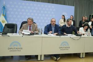 Los diputados Fernando Iglesias (Pro) y Nicolás Mayoraz (LLA), en el debate sobre voto argentino en el exterior