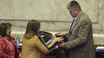 Los diputados Matarazzo y Ziegler compartiendo el llamativo mate