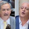 El cruce a los gritos entre Horacio Pietragalla y Nicolás Mayoraz por la reforma penal juvenil en Diputados