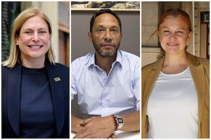 Los diputados opositores Gisela Scaglia, Maximiliano Ferraro y Karina Banfi también impulsan iniciativas sobre la ficha limpia