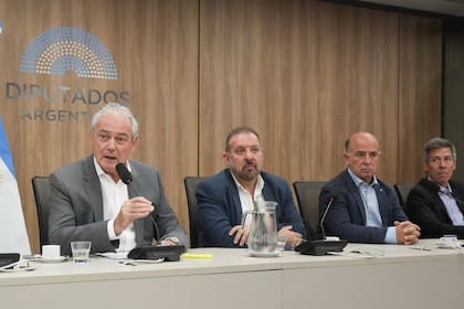 Los diputados también expusieron sus puntos de vista durante la presentación