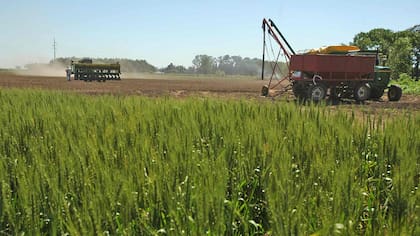 Los dirigentes del campo reclaman medidas urgentes