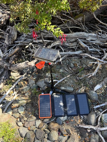 Los dispositivos cuentan con tecnología de avanzada para estudiar a los abejorros