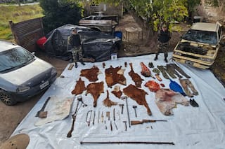 En un espectacular operativo desbarataron una banda que robaba hacienda en un partido bonaerense