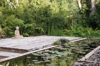 Cómo hacer un jardín de agua en tu casa