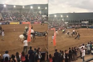 Un grupo de activistas irrumpió en una exposición de caballos en La Rural y fue echado a empujones