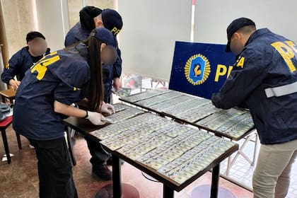 Los dólares falsos secuestrados por detectives de la Policía Federal Argentina (PFA)