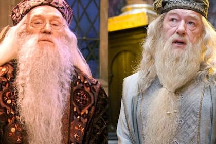 Los dos Albus Dumbledore (Foto captura película)