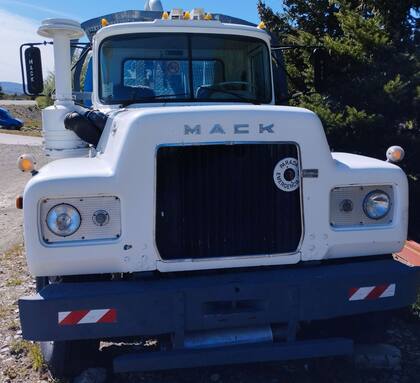 Los dos camiones están sin patentar y en el sitio web no se declara un kilometraje