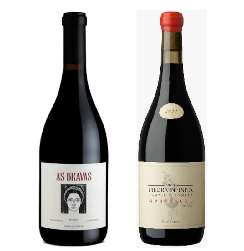 Dos vinos mendocinos logran el máximo reconocimiento internacional