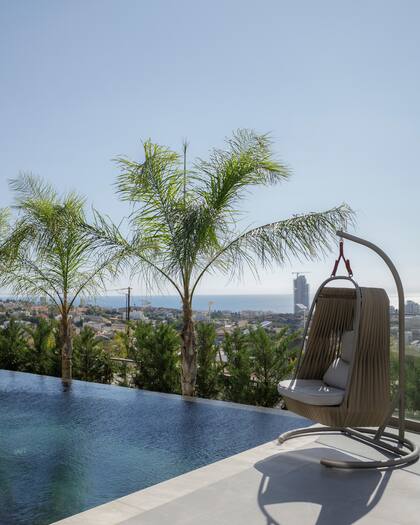 Los dueños eligieron los azulejos oscuros para revestir el interior de la piscina.