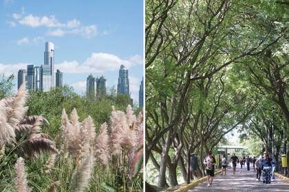 Los edificios y la naturaleza de la Reserva Costanera Sur generan un contraste interesante en una ciudad moderna.