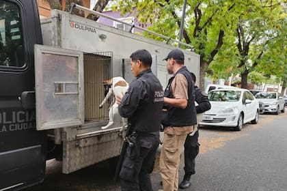 Los efectivos rescataron a los animales de los criaderos ilegales.